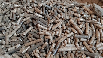 Xuất khẩu viên nén gỗ thu về gần 680 triệu USD