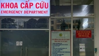 Sức khoẻ nạn nhân bị cây sao đè trúng ở quận 1 ra sao?
