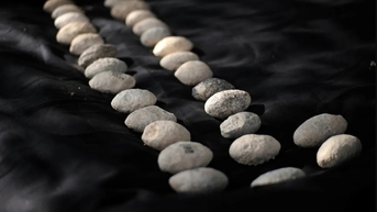 រោងចក្រផលិតអាវុធចាស់ជាងគេលើពិភពលោក