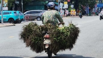 Trung Quốc 'quay xe', giá cau trên đà lao dốc