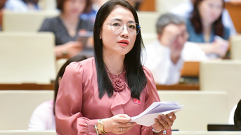 Mua bán thai nhi vi phạm đạo đức, cần bị truy cứu trách nhiệm hình sự