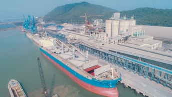 Xi măng Long Sơn liên tục xuất khẩu sang Mỹ