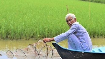 Kiên Giang phát triển 7.000ha trồng trọt hữu cơ