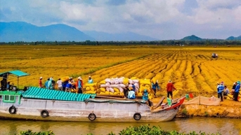 Hội nghị xúc tiến thương mại mở ra cơ hội cho doanh nghiệp Đồng bằng sông Cửu Long