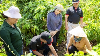 NESCAFÉ Plan đồng hành cùng nông dân Việt