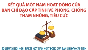 Kết quả 1 năm hoạt động của BCĐ cấp tỉnh về phòng, chống tham nhũng