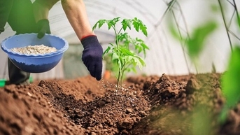 Nếu phân bón được áp thuế giá trị gia tăng 5%, ba “nhà” sẽ cùng có lợi