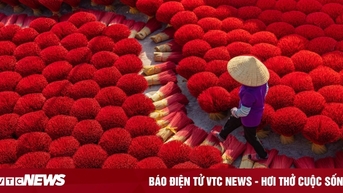 Làng hương cổ hơn 100 năm tuổi ở Hà Nội tất bật vào vụ Tết