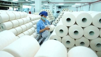 Doanh nghiệp dệt may "vượt sóng" thành công