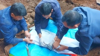 Thêm 9 hài cốt liệt sĩ được tìm kiếm, cất bốc và quy tập trên đất nước bạn Lào