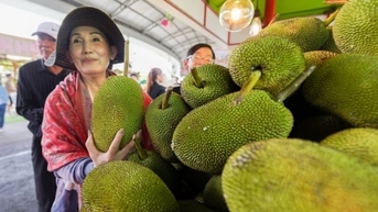 Lễ hội trái cây Nam Bộ lần thứ 20: Hành trình làm nông hạnh phúc