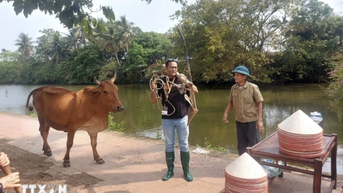 Du lịch trải nghiệm làm nông dân ở Làng cổ Đường Lâm thu hút khách quốc tế