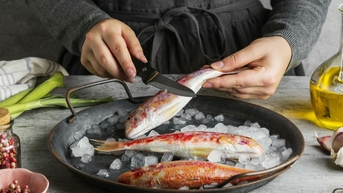Bệnh gout nên ăn cá gì?