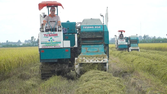 Thúc đẩy doanh nghiệp tham gia thị trường carbon