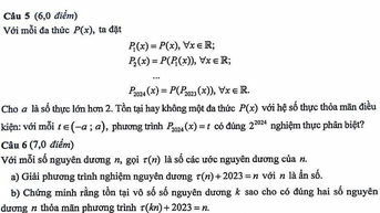 Đề thi và đáp án môn Toán thi học giỏi quốc gia năm 2024 ngày 2