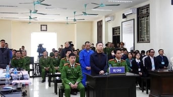 Cựu chuyên viên khai gì về việc cho các ông Lưu Bình Nhưỡng, Lê Thanh Vân 2 lô đất bạc tỉ?