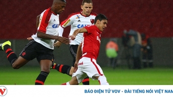 Bình Định thử việc ''ngoại binh khủng''