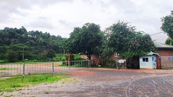 Sẽ có trường đua chó đầu tiên ở Lâm Đồng