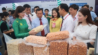 Ứng dụng công nghệ để nâng cao giá trị hạt điều Bình Phước