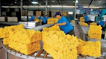 Xuất khẩu tuần 11-17/12: Xuất khẩu cao su mang về 2,51 tỷ USD,xuất khẩu sắn đạt 1,16 tỷ USD sau 11 tháng