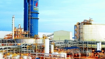 Đạm Phú Mỹ sắp chi 783 tỷ đồng trả cổ tức năm 2023, tỷ lệ 20%