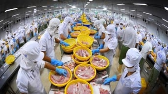 Xuất khẩu cá tra có thể đạt 2 tỷ USD năm 2024