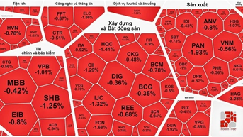 Chứng khoán “xanh vỏ đỏ lòng”