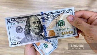 USD sẽ còn giảm, tỷ giá cuối năm ổn định mức 25.300 đồng