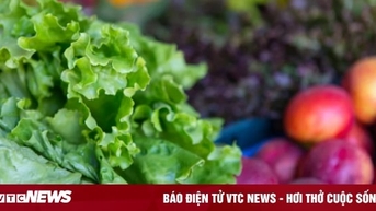 5 loại thực phẩm giúp bạn giải độc cơ thể hiệu quả