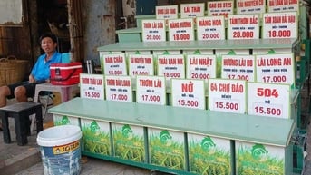 Giá gạo xuất khẩu giảm mạnh