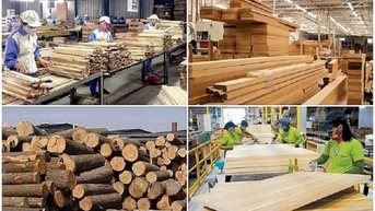 Thu về 9,5 tỷ USD, xuất khẩu gỗ và sản phẩm gỗ tăng trưởng ngoạn mục