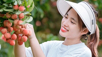 Về Lục Ngạn hái vải thiều