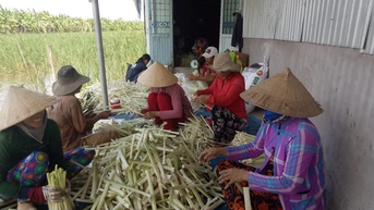 ពិនិត្យ​មើល​ស្ថានភាព​ស្ត្រី​អត់​ការងារ​ធ្វើ​ត្រឡប់​ទៅ​ស្រុក​កំណើត