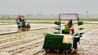 Lợi ích kép từ Quỹ Khuyến nông Hà Nội