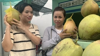 សារមន្ទីរ Wax Coconut ដែលមានតម្លៃជាង 13 ពាន់លានដុង ហៀបនឹងបើកដំណើរការ