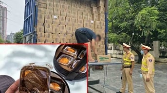 Tạm giữ 9 tấn thực phẩm không giấy tờ khi đang đi về La Phù