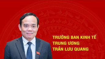 [Infographic] Tiểu sử tân Trưởng Ban Kinh tế Trung ương Trần Lưu Quang