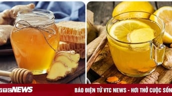 Uống nước gừng mật ong hàng ngày có tốt?