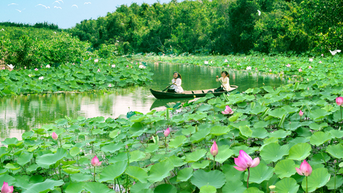Du lịch sinh thái, trải nghiệm -Dấu ấn đất sen hồng