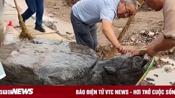 Phát hiện con rùa đá lớn trong quá trình làm đường, dân mạng xôn xao