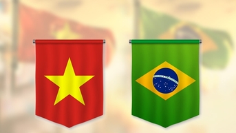 Quan hệ song phương Việt Nam - Brazil phát triển tốt đẹp