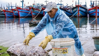 Biển gần bờ Đà Nẵng có la liệt cá ngon, sau bão Trà Mi, dân đánh bắt, xách túi lớn túi nhỏ, đắt hàng