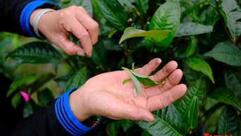 Bí quyết thanh xuân ở Xà Phìn