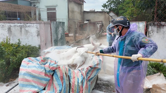 Hà Tĩnh: Công bố dịch tả heo châu Phi trên địa bàn xã Xuân Yên