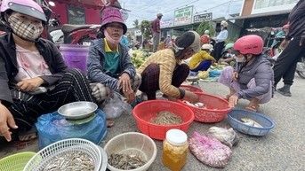 Một cái chợ chiều ở Gia Lai, thấy dân bán la liệt rau rừng, tôm sông, cá suối, giá rẻ bất ngờ