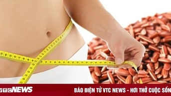 Các loại hạt có giúp giảm cân, làm đẹp da?