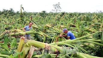 តេលេក្រាម នាយករដ្ឋមន្ត្រី៖ ជំរុញ​ការ​ស្ទុះ​ងើប​ផលិត​កម្ម​កសិកម្ម​ក្រោយ​ព្យុះ​លេខ​៣
