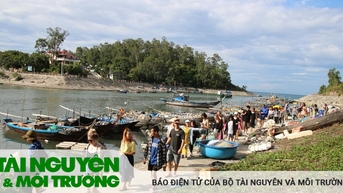 Hiệu quả từ mô hình đồng quản lý bảo tồn biển tại Cù Lao Chàm