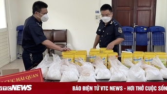 Phát hiện 19 kg bột trắng nghi ma túy vận chuyển từ Pháp về Việt Nam