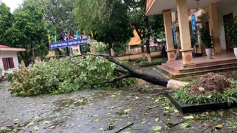 dừng cho học sinh đến trường nếu mất an toàn